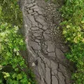 Terremoto en Panamá dejó daños en vías, casas e infraestructura de Antioquia