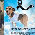 'Leyenda' recibió una emotiva despedida de los habitantes de Gualmatán, Nariño.