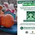 Rechazan el asesinato de la niña Jhady Sofía en Antioquia.