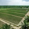 Colombia tiene capacidad para exportar resinas plásticas recicladas, pero enfrenta un gran obstáculo: ‘El problema es recolectar los residuos’