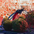 Malaria.