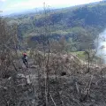 Iguaque, Los Nevados y Las Hermosas: dos Parques Nacionales y un Santuario de Fauna y Flora hoy arden por incendios forestales