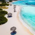El viñedo que va contra la lógica climática: Alto Vista Winery, una bodega erigida entre cactus, sol y el desierto caribeño de Aruba