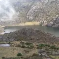 ‘¿Y ese pajarraco qué?’: el proyecto que busca salvar al paujil de pico azul, una especie que pocos colombianos conocen y que solo existe en el país