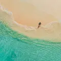 El viñedo que va contra la lógica climática: Alto Vista Winery, una bodega erigida entre cactus, sol y el desierto caribeño de Aruba