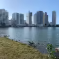 El Laguito en Cartagena