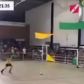arquero