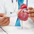 Cardiólogo