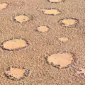 círculos de hadas