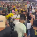 Pelea de hinchas colombianos y méxicanos