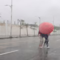 Guillo González / Kronos