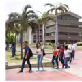 Udea