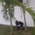 Momentos de la captura de Mapaya.