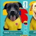 masctoas