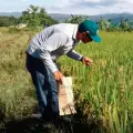 Venezuela