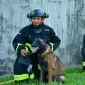 Experto advierte que desmontar la UNGRD pondría en riesgo la capacidad del país para enfrentar desastres