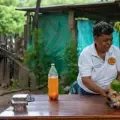 El cambio climático pone en riesgo la memoria ancestral de la Amazonia: hasta un tercio de las plantas usadas por pueblos indígenas podría desaparecer