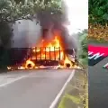 Acciones criminales atribuidas a la guerrilla.