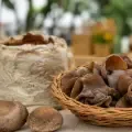 Hongos comestibles