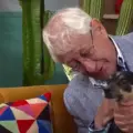 No es solo el hablado: Dulce María, la perrita costeña adoptada por familia rola, también prefiere el vallenato al tropipop