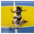 Futsal en Brasil