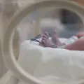 Recién nacido