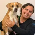 Melly, la historia de la perrita que estuvo cuatro días bajo los escombros en Cali