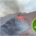 Redes sociales/EFE/Ministerio de Ambiente