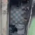 Esto se sabe.