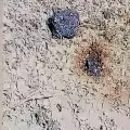 Fragmentos del supuesto meteorito hallado en el barrio La Trocha, en el municipio de Pilón, provincia de Granma, Cuba.