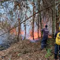 Incendios forestales en el Tolima
