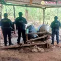 Autoridades desmantelaron 3 laboratorios de drogas y decomisaron 7,8 toneladas de químicos en México.