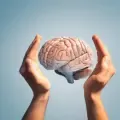 cerebro
