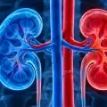 Salud renal.