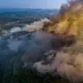 Los incendios forestales reflejan los efectos de la presión sobre los ecosistemas.