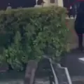 El hecho ocurrió en una vía de La Ceja, Antioquia.