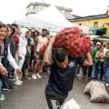 actividades