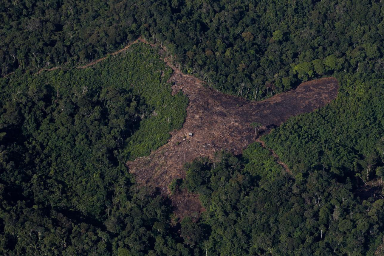 Crisis humanitaria en el Catatumbo pone en jaque la 'paz total': ¿qué ...