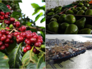 Estados Unidos es uno de los pa??ses con los que Colombia ha firmado Tratado de Libre Comercio.