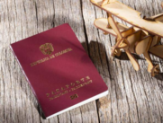 Pasaporte colombiano.