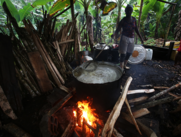 La tradición vichera cada día llega a más personas, en la época de la esclavitud, los afrocolombianos destilaban la caña de azúcar para usos medicinales, así curaban y protegían a los bebés, madres que acababan de dar a luz, cólicos menstruales, picaduras de serpientes, así como en rituales y ceremonias. Hoy, el viche sigue con sus arraigos ancestrales, pero también se ha trasladado a las celebraciones en pueblos del Pacífico colombiano y trasciende fronteras, siendo distribuido masiva y exclusivamente en el Festival de Música del Pacífico Petronio Álvarez, donde cientos de extranjeros y miles de colombianos disfrutan de su sabor en decenas de presentaciones y combinaciones al son de las marimbas de chonta, los violines caucanos y las tradiciones de los músicos del Litoral Pacífico colombiano.
