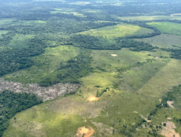 Deforestacion amazonia