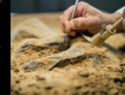 algunos estudios proponían que el cráneo tenía unos 170.000 años