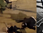 Hombre de 53 años en Lima, Perú, perdió la vida tras resistirse a un robo, iba con su esposa: cámaras registraron el momento exacto