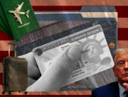 Collage green card Estados Unidos / Visa / Donald Trump / Migración