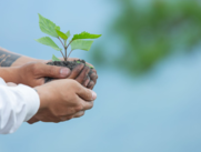 Durante 2024, Finagro ha desembolsado cr??ditos en Sostenibilidad Clim??tica por $1,54 billones
