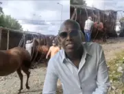 Caballos Fausto Asprilla