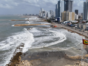 Cabrero en Cartagena