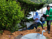 Alcaldía de Medellín.