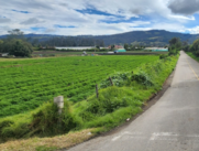 ANLA aprobó modificación de licencia ambiental para la Variante Sopó